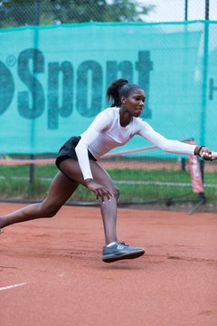 Noma Noha Akugue 236 - Klippeldon